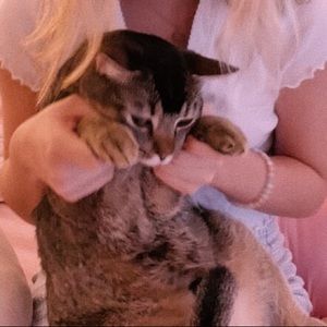 Meet your Posher, Ava